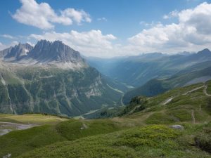 Découverte du col de la bonette en été à travers les panoramas alpins