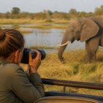 Safari photo au Botswana : vivre la faune sauvage au plus près
